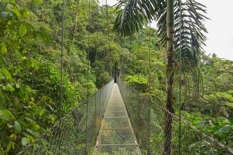 Essential Costa Rica With Extension To Manuel Antonio National Park, Manuel Antonio Beach & San Jose City - 13 Days