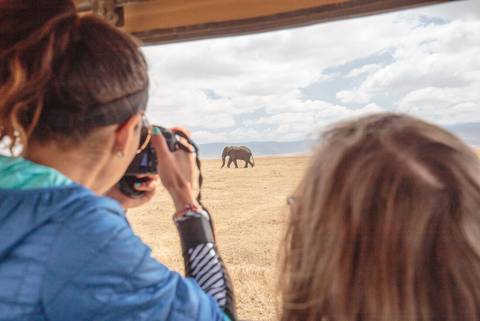 Africa Group Tours: Essential East Africa