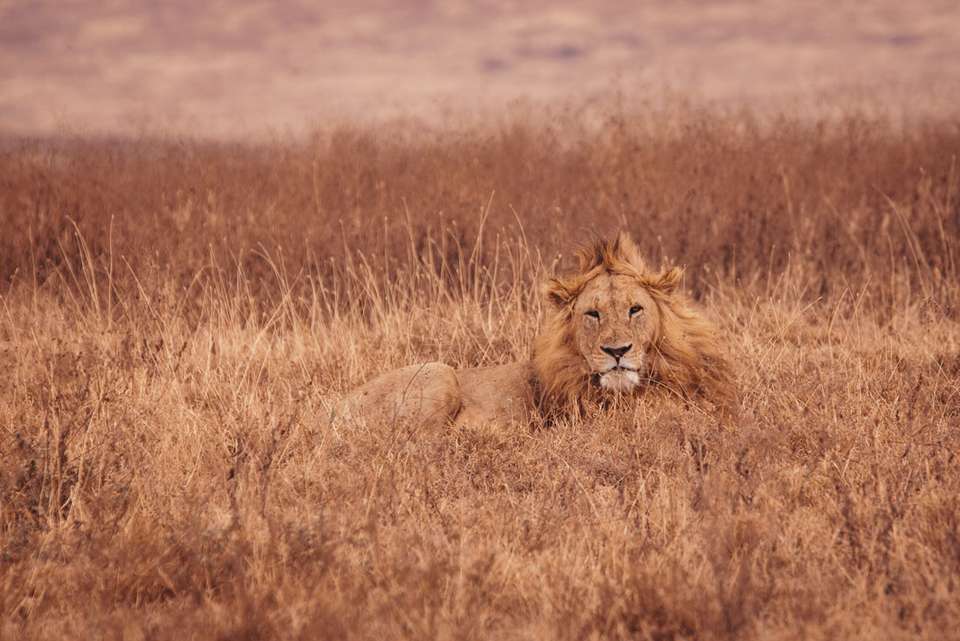 Essential East Africa - Intrepid Travel - Kenya - Image 21