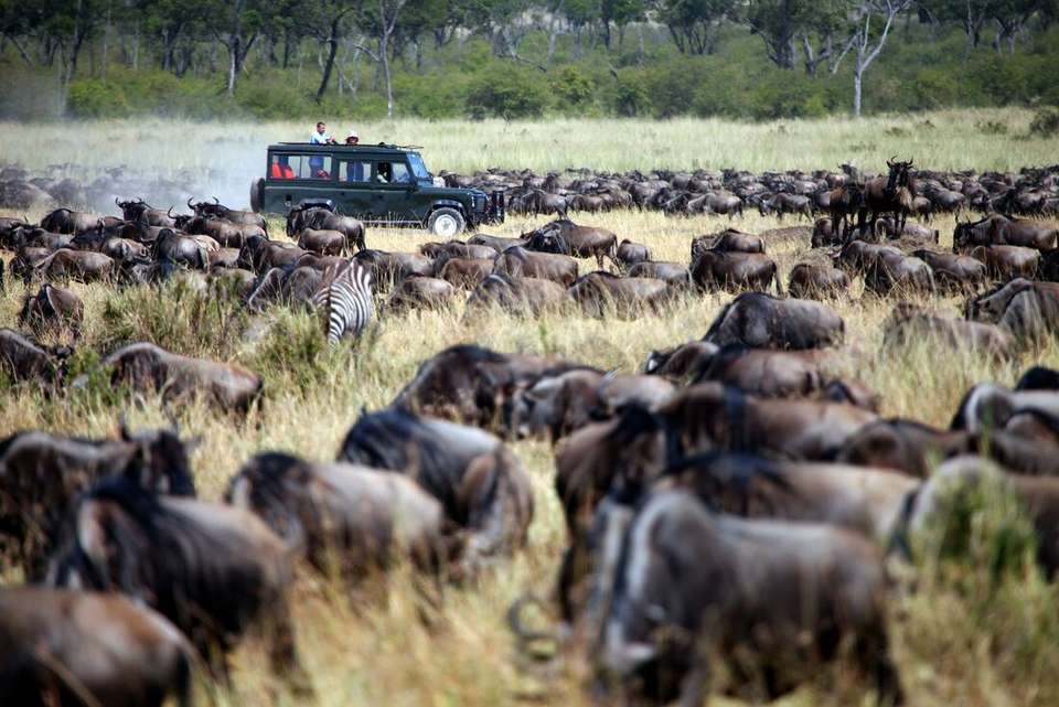 Essential East Africa - Intrepid Travel - Kenya - Image 14
