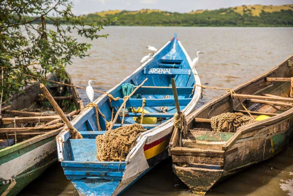 Essential East Africa - Intrepid Travel - Kenya - Image 2