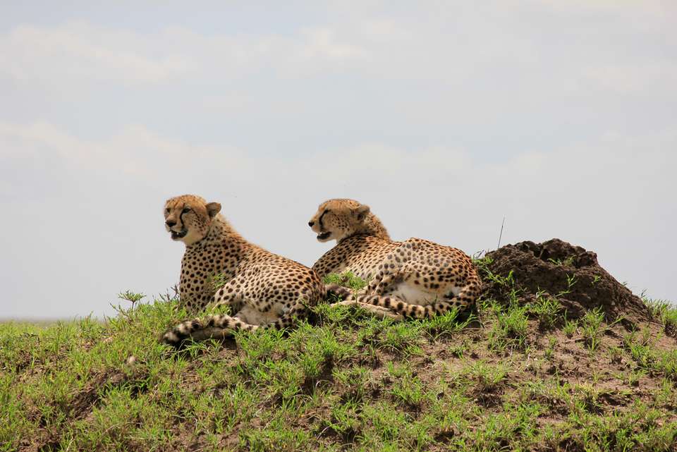 Essential East Africa - Intrepid Travel - Kenya - Image 12