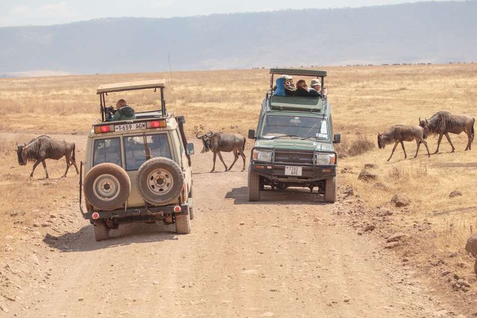 Essential East Africa - Intrepid Travel - Kenya - Image 11