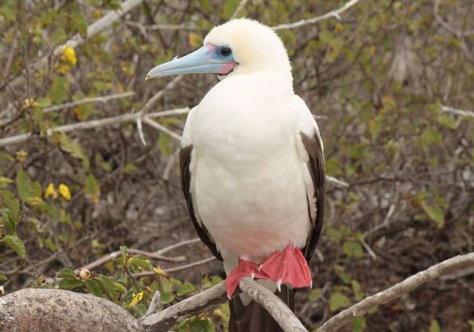 Essential Ecuador And Peru - Indus Travels - Ecuador - Image 5