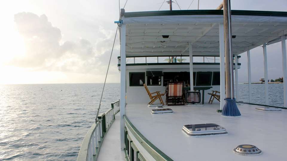 Image 7 of 24