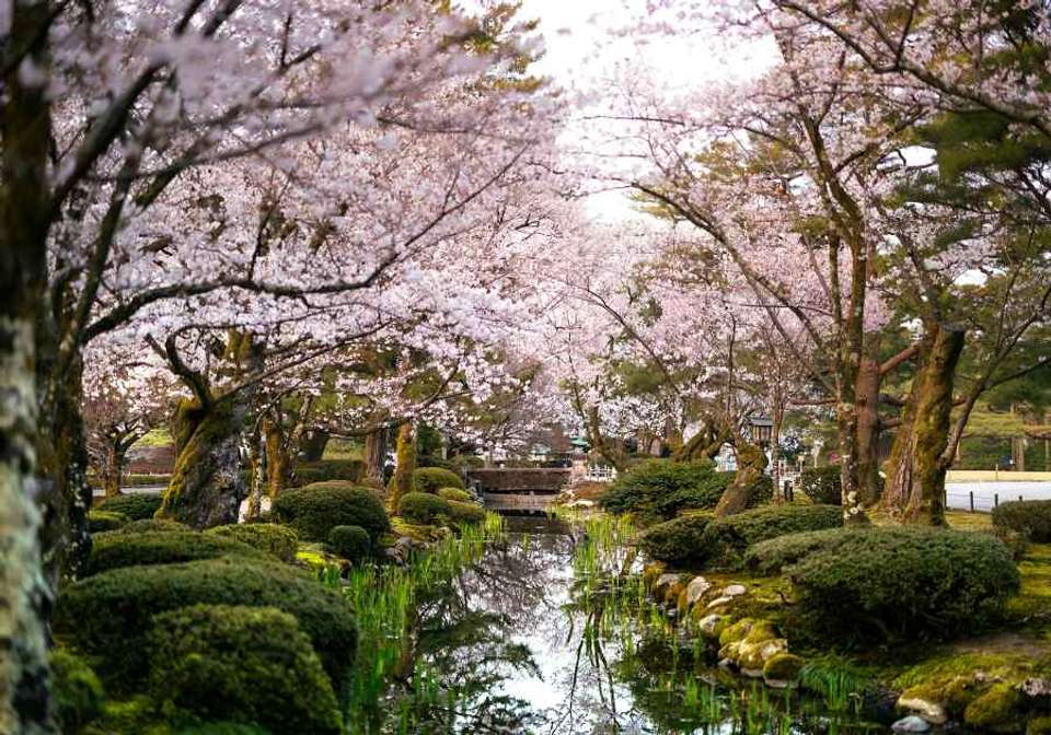 Essential Japan - Indus Travels - Japan - Image 7