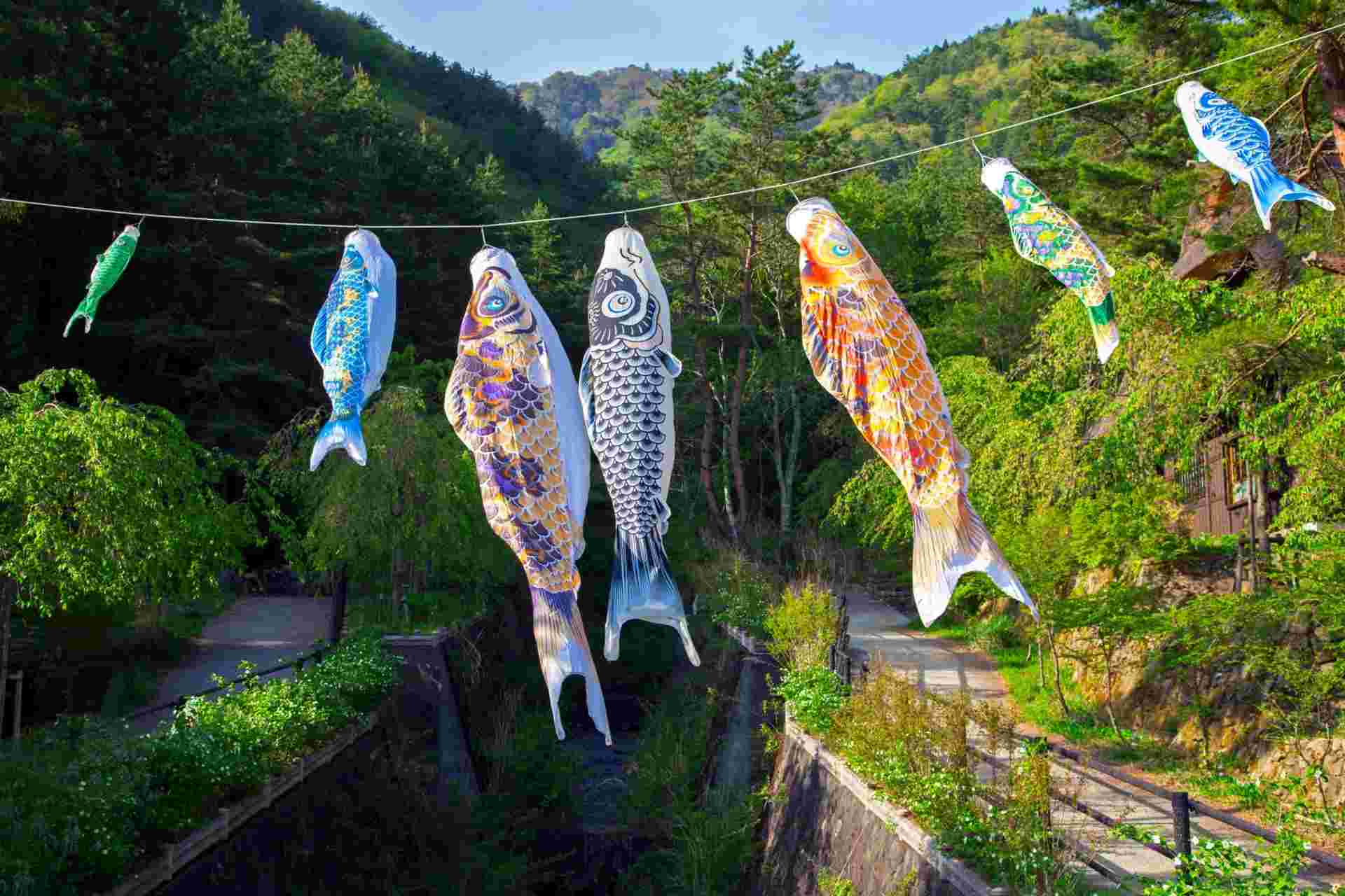 Essential Japan and Hakone