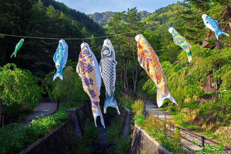 Essential Japan and Hakone - 8 days