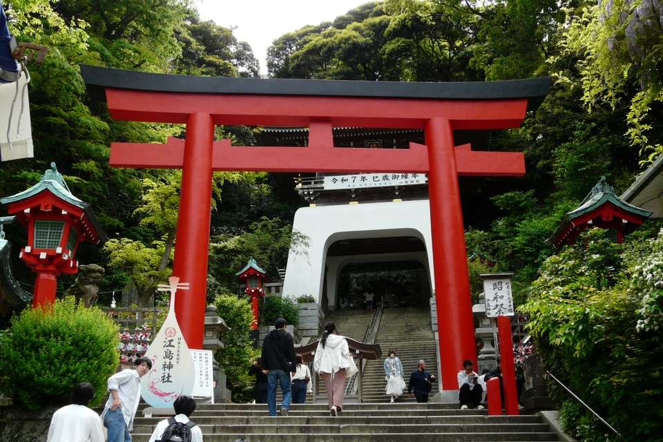 Essential Japan and Hakone end Tokyo - Europamundo - Japan - Image 10