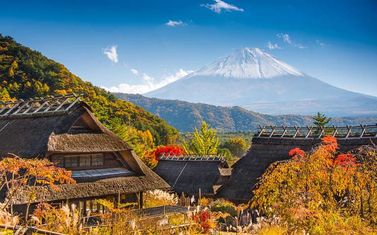 Essential Japan and Hakone end Tokyo trip - alternative tour available
