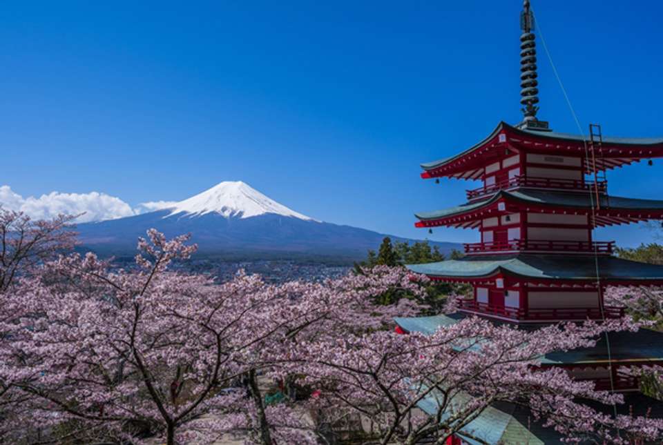Essential Japan Explorer - 13 Days - On The Go Tours - Japan