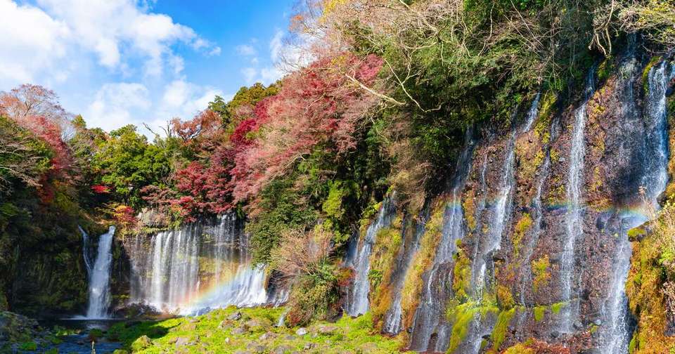 Essential Japan - Tokyo, Mount Fuji and Kyoto - Explore - Japan - Image 19