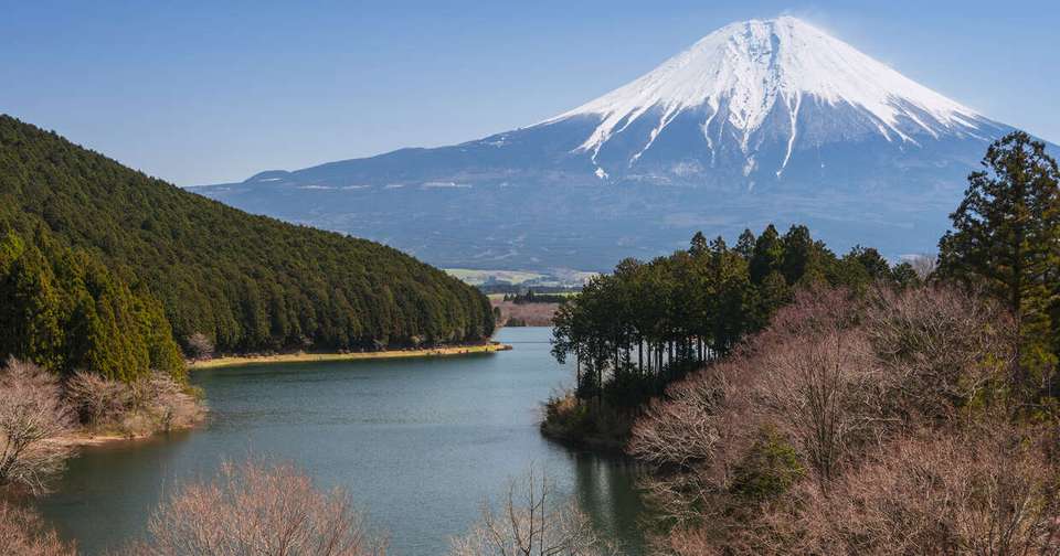 Essential Japan - Tokyo, Mount Fuji and Kyoto - Explore - Japan - Image 17