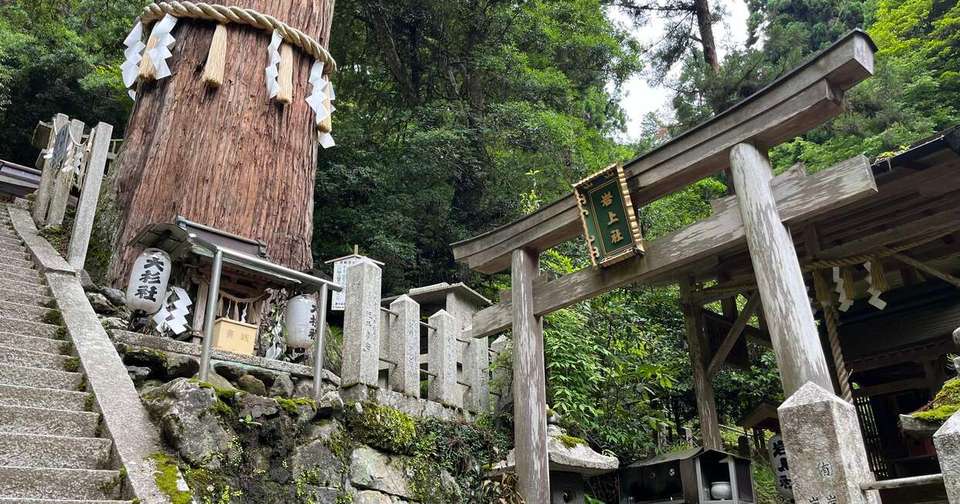 Essential Japan - Tokyo, Mount Fuji and Kyoto - Explore - Japan - Image 14