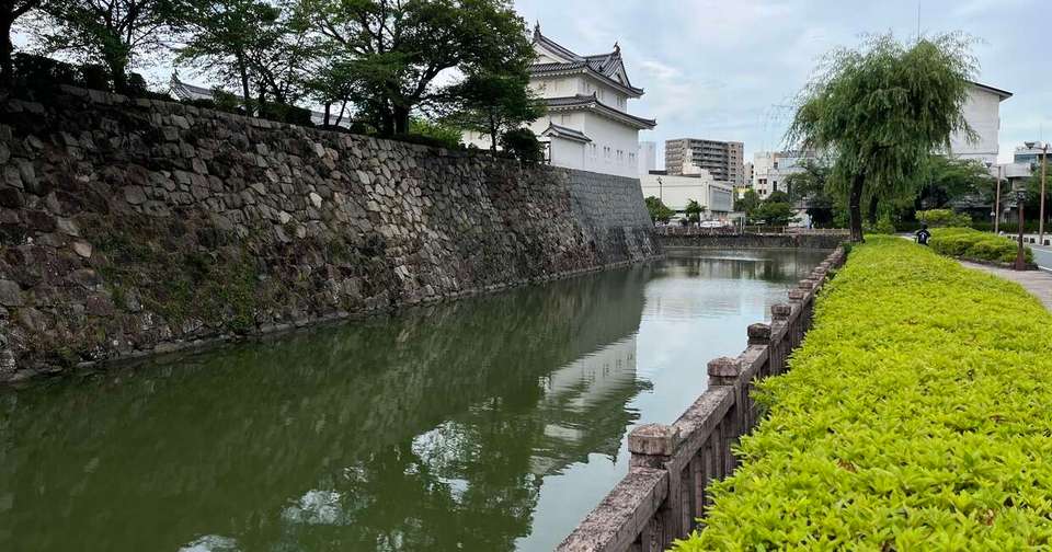 Essential Japan - Tokyo, Mount Fuji and Kyoto - Explore - Japan - Image 10
