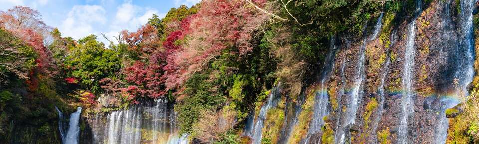 Essential Japan - Tokyo, Mount Fuji and Kyoto - Explore - Japan - Image 7