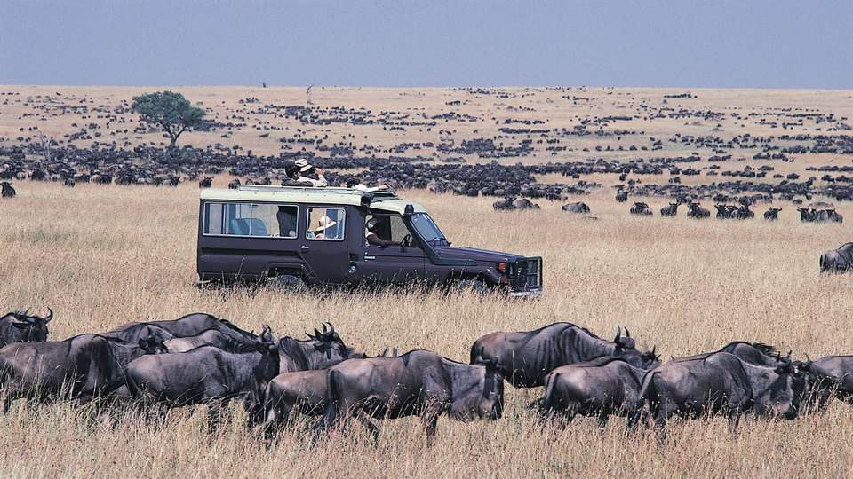 Essential Kenya Safari - Indus Travels - Kenya - Image 6