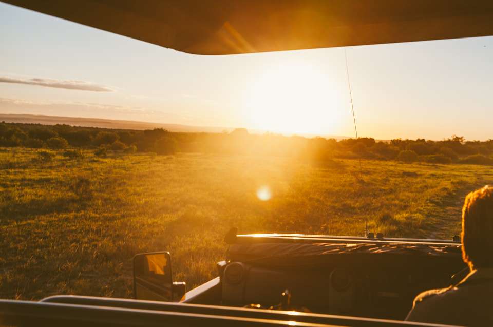 Essential Kruger Safari - Family Adventure - Exodus Adventure Travels - South Africa - Image 14