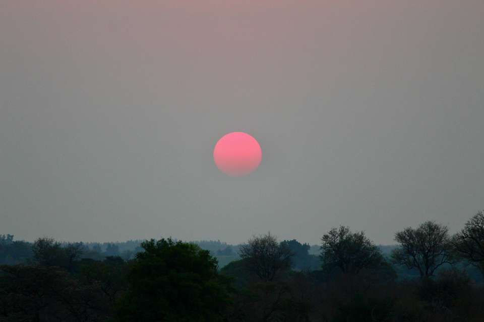 Essential Kruger Safari - Family Adventure - Exodus Adventure Travels - South Africa - Image 9