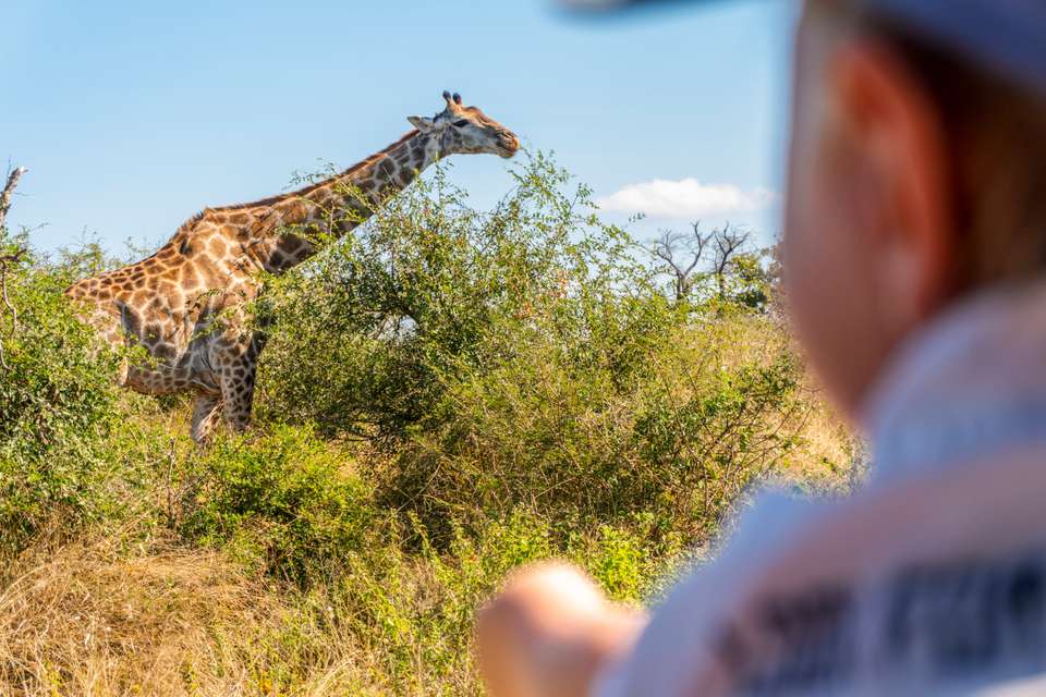 Essential Kruger Safari - Family Adventure - Exodus Adventure Travels - South Africa - Image 7