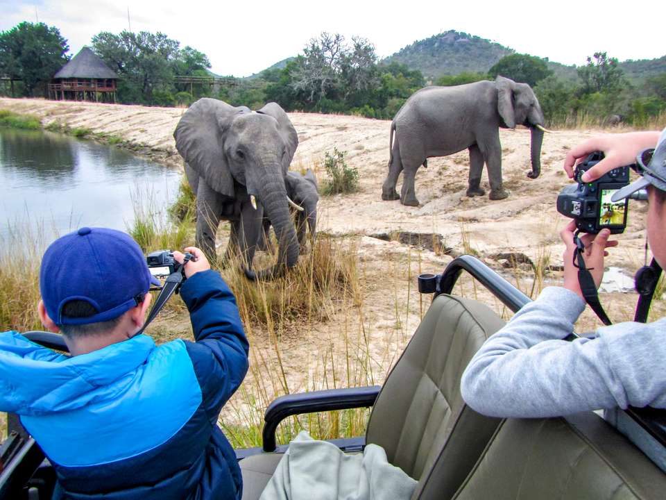 Essential Kruger Safari - Family Adventure - Exodus Adventure Travels - South Africa - Image 6