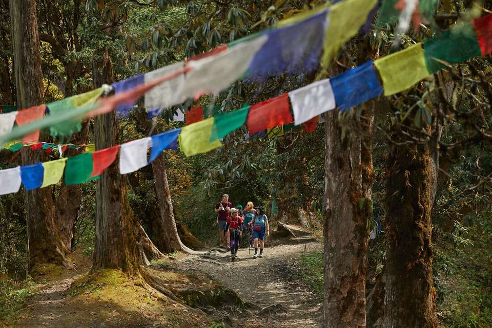 Essential Nepal - Intrepid Travel - Nepal - Image 5