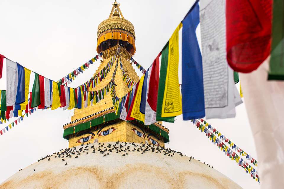 Essential Nepal - Intrepid Travel - Nepal - Image 6