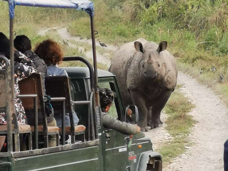 Essential Nepal Adventure - 13 days - On The Go Tours - Nepal - Image 3