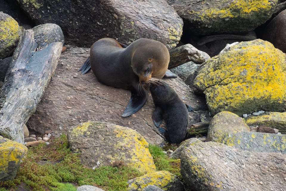 Essential New Zealand: South Island - Intrepid Travel - New Zealand - Image 6