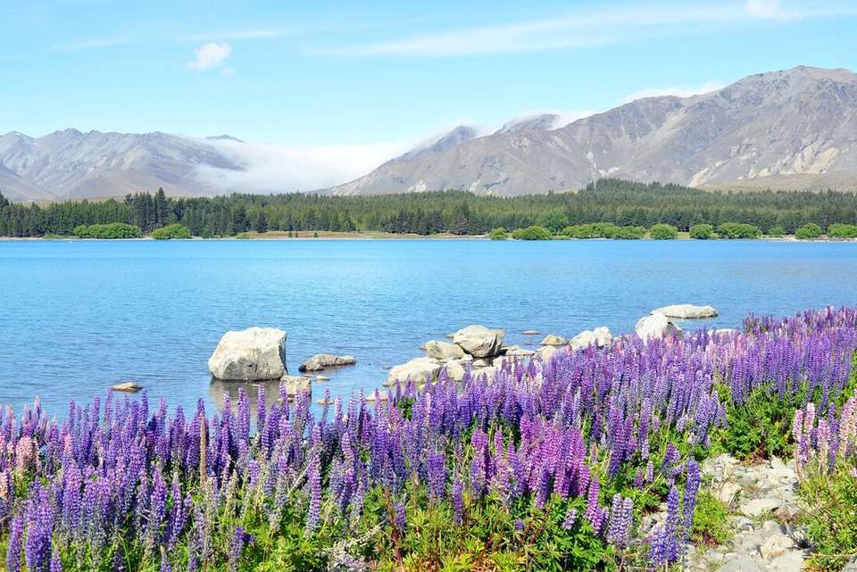 Essential New Zealand: South Island - Intrepid Travel - New Zealand - Image 7