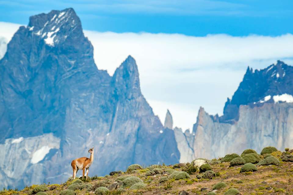 Essential Patagonia: Chilean Fjords and Torres del Paine - Quark Expeditions - Argentina - Image 5