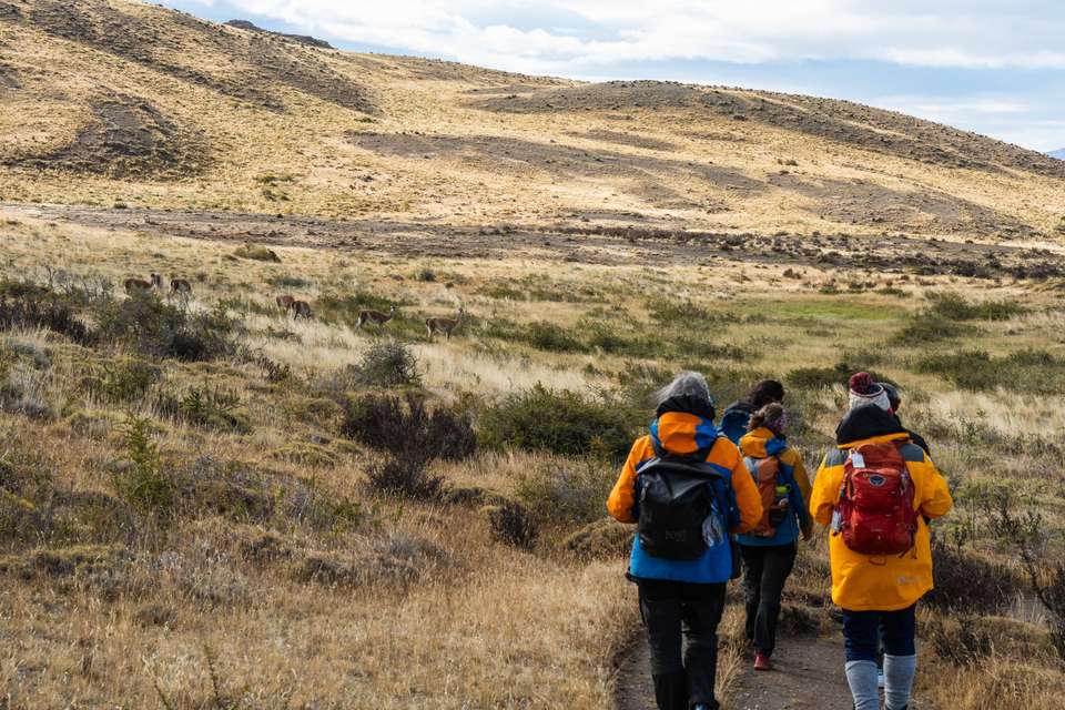 Essential Patagonia: Fjords & Torres del Paine - Exodus Adventure Travels - Argentina - Image 21