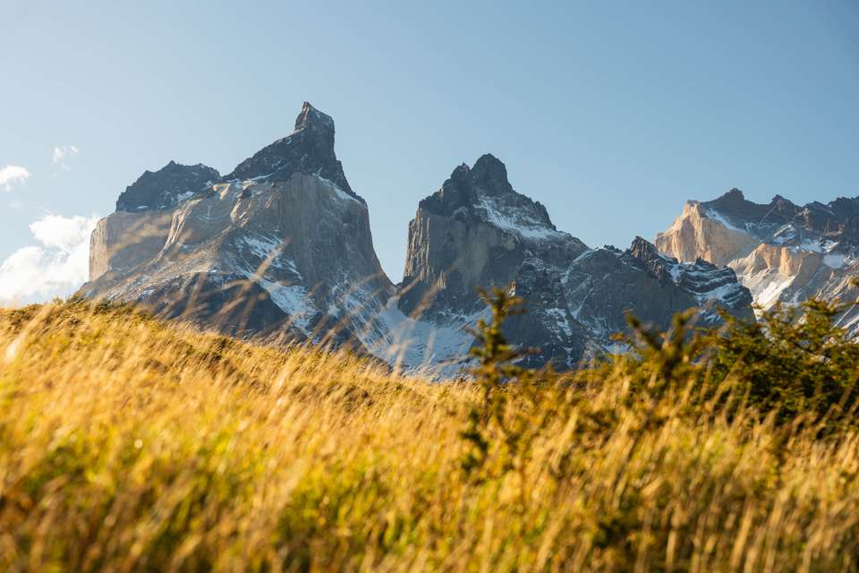 Essential Patagonia: Fjords & Torres del Paine - Exodus Adventure Travels - Argentina - Image 20