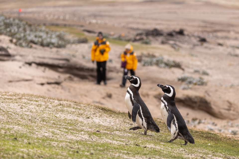 Essential Patagonia: Fjords & Torres del Paine - Exodus Adventure Travels - Argentina - Image 4