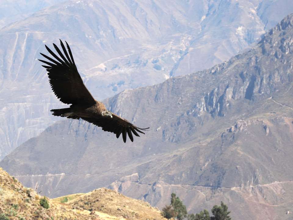 Essential Peru - Exodus Adventure Travels - Peru - Image 12