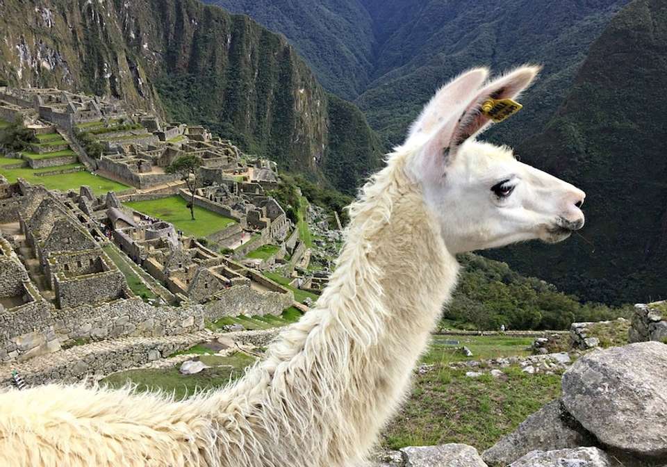 Essential Peru - Indus Travels - Peru - Image 6