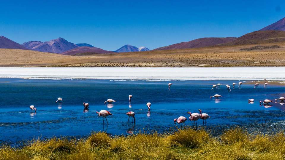 Essential Peru And Bolivia - Indus Travels - Peru - Image 9