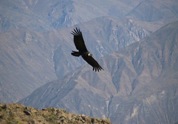 Image 3 of 9
