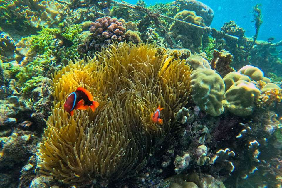 Essential Philippines - Intrepid Travel - Philippines - Image 3