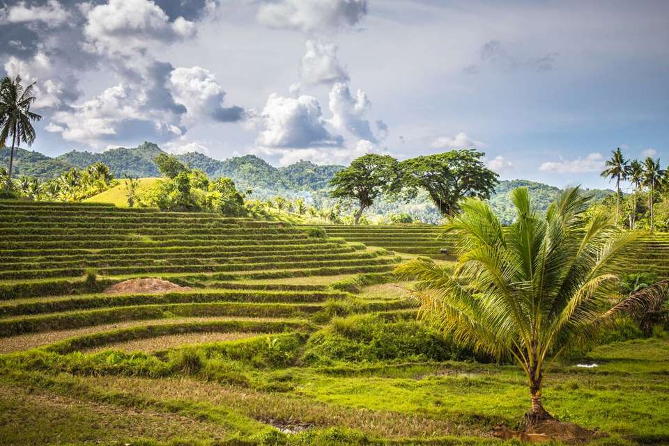 Essential Philippines - Intrepid Travel - Philippines - Image 7