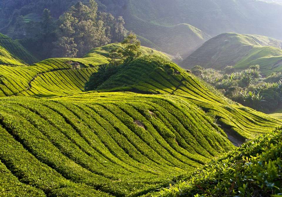 Essential Singapore and Malaysia - Indus Travels - Singapore - Image 4