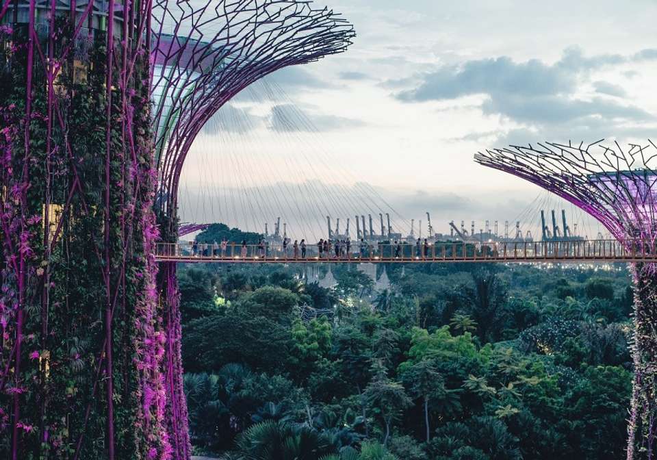 Essential Singapore and Malaysia - Indus Travels - Singapore - Image 5
