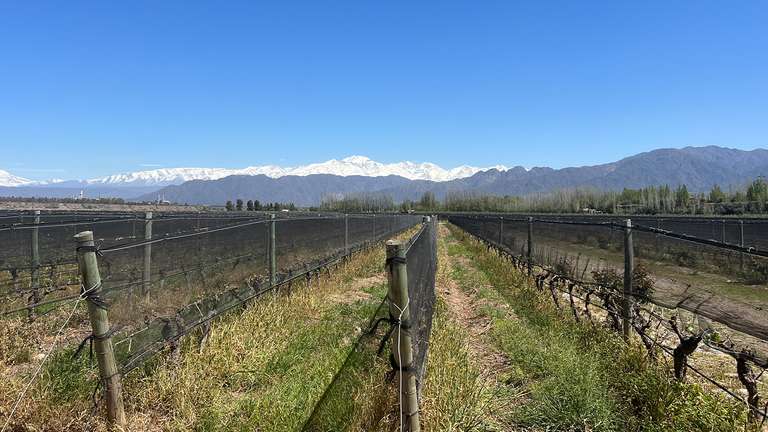 Essential South America featuring Chile, the Mendoza Wine Region & Buenos Aires trip - alternative tour available
