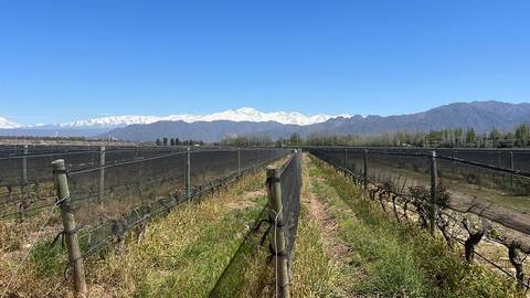 Experienced Travelers Trips: Essential South America Featuring Chile, The Mendoza Wine Region & Buenos Aires