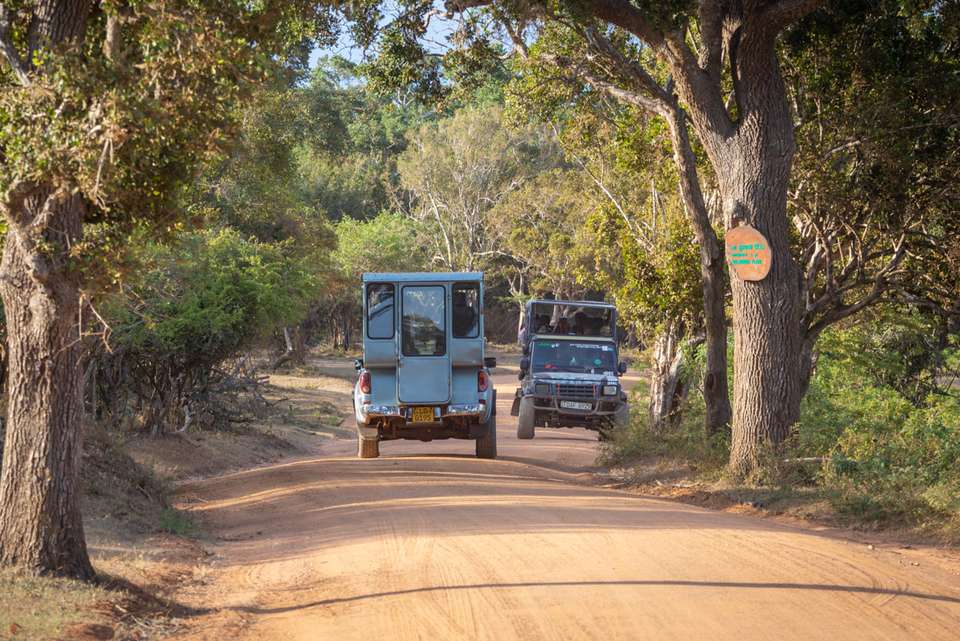 Essential Sri Lanka - Intrepid Travel - Sri Lanka