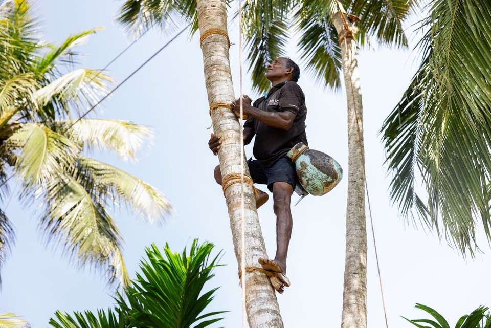 Essential Sri Lanka - Intrepid Travel - Sri Lanka