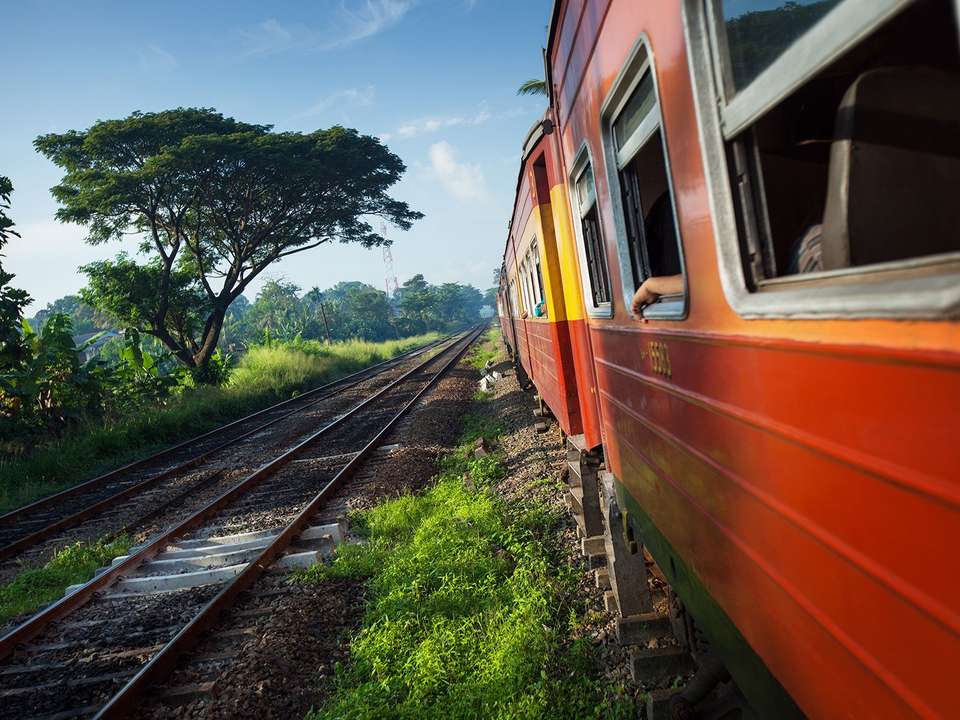 Essential Sri Lanka Explorer - 13 days - On The Go Tours - Sri Lanka - Image 5