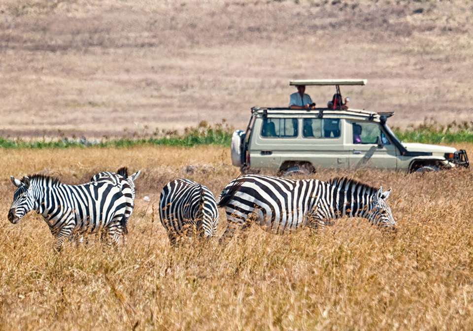 Essential Tanzania - Indus Travels - Tanzania - Image 5