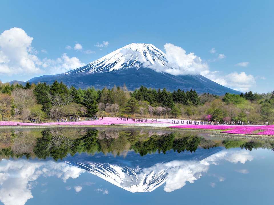 Essential Tokyo & Mount Fuji - 5 days - On The Go Tours - Japan - Image 4