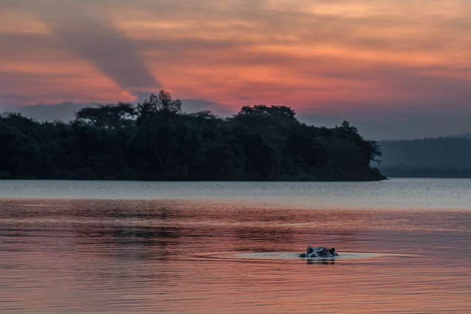 Essential Uganda: Gorillas and Chimps - Intrepid Travel - Uganda - Image 5